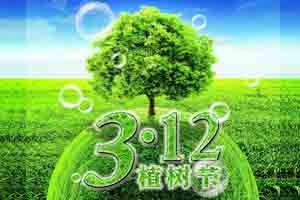 【節(jié)日】又是一年植樹節(jié)！