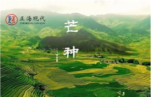 【節(jié)氣】今日芒種 ，一個(gè)生猛的節(jié)氣到了！保重身體別生??！