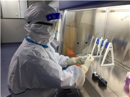 新法規(guī)| 強(qiáng)化實驗室室內(nèi)質(zhì)控，避免核酸檢測結(jié)果呈假陰性假陽性