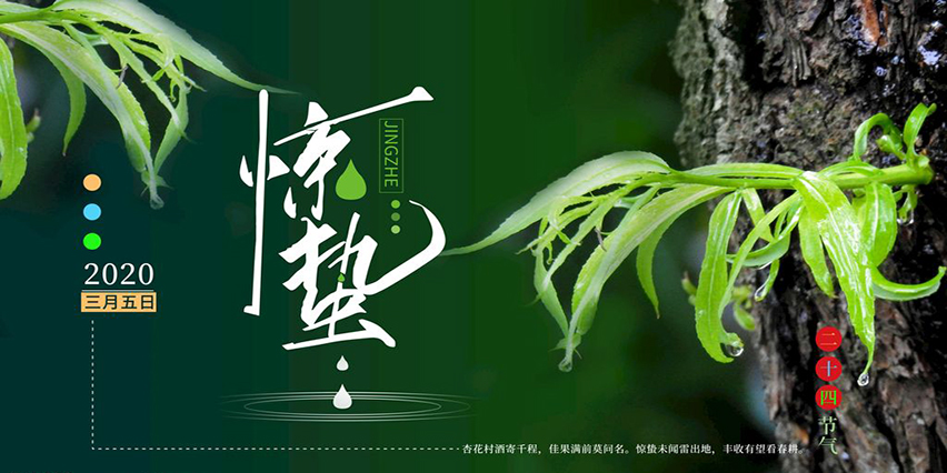 【節(jié)氣】今日驚蟄，我們定將戰(zhàn)勝疫情，走向春天